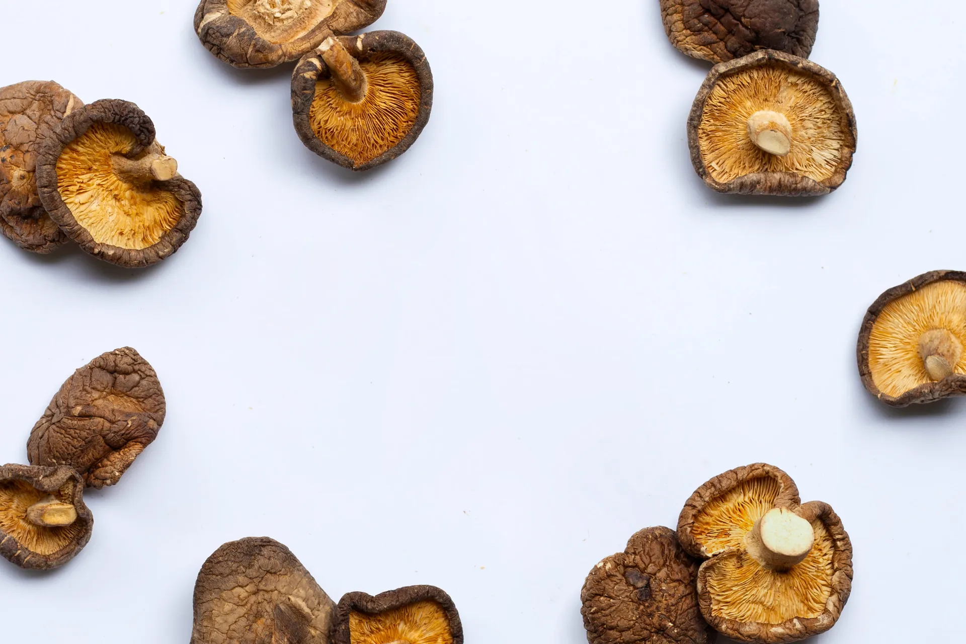 dried-shiitake-mushrooms-white-background-1-scaled