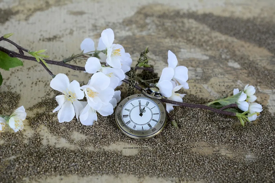 pocket-watch-1637392 960 720