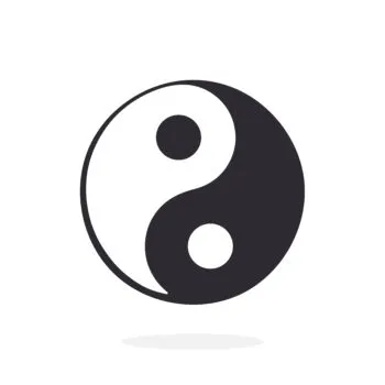 dualseele loslassen Karma